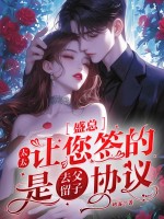 盛总，太太让您签的是去父留子协议章节列表