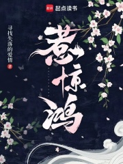 惹惊鸿章节列表