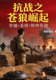 抗战之苍狼崛起章节列表