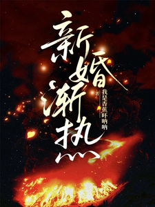 新婚渐热章节列表